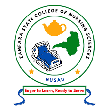 Zamfara State College of Nursing Form